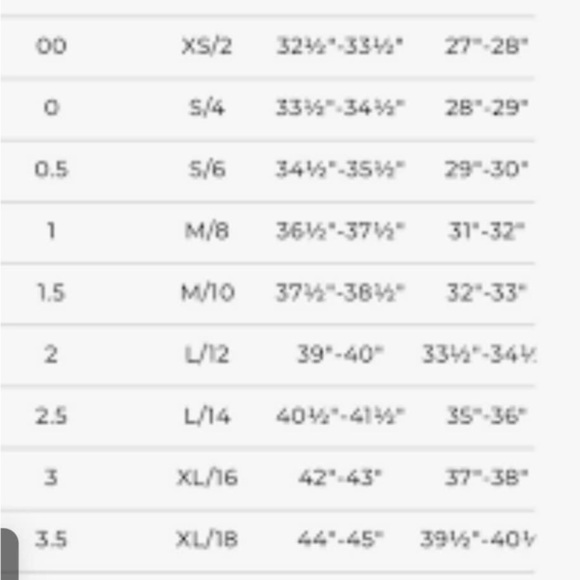 CHICO’S Spliced Animal Jordan Dress Sz 0.5 (6) - Picture 5 of 5